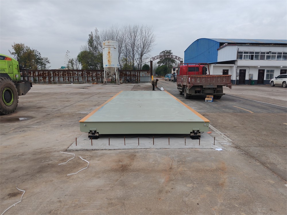 微信圖片_20241119102849