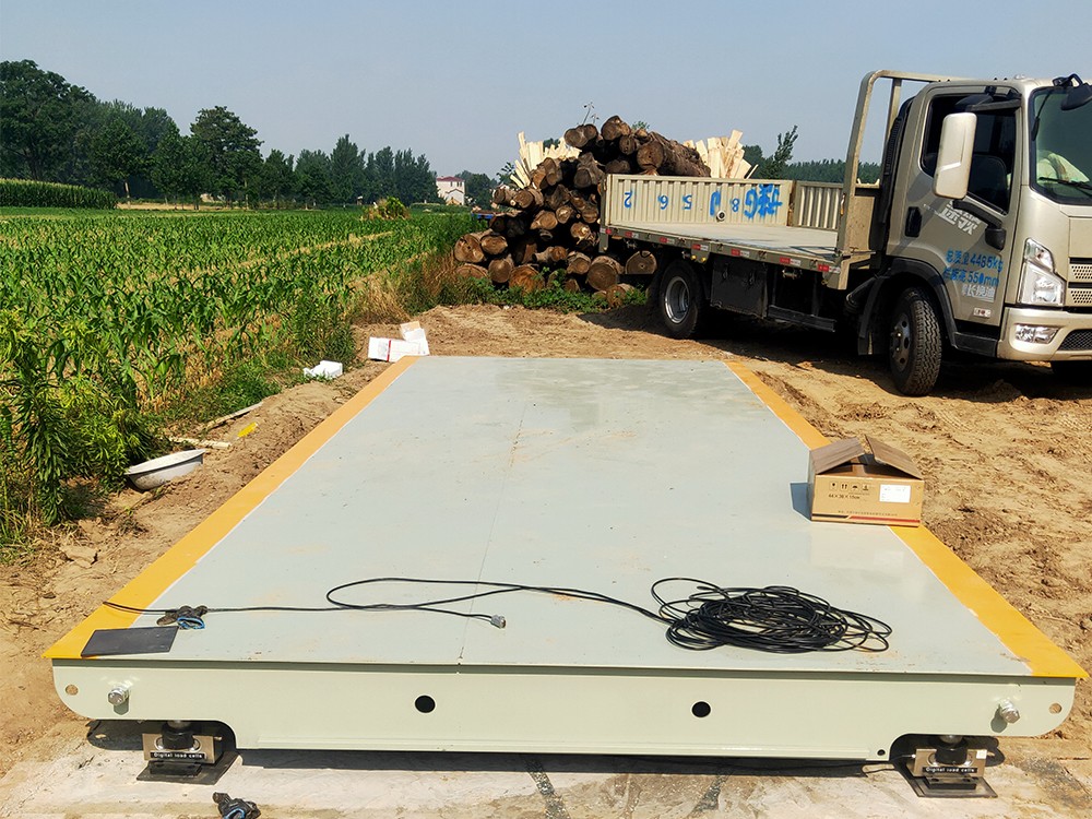 蘭考閆樓郭莊糧站3