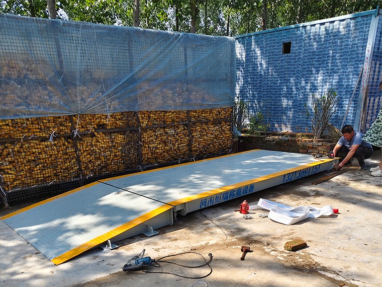 蘭考養(yǎng)殖場1