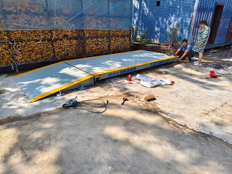 蘭考養(yǎng)殖場2