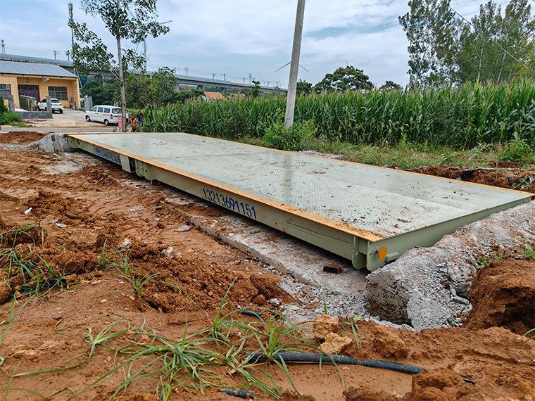 西坡頭農(nóng)業(yè)合作社1